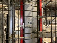 Produktaufzug, Vertikalförderer